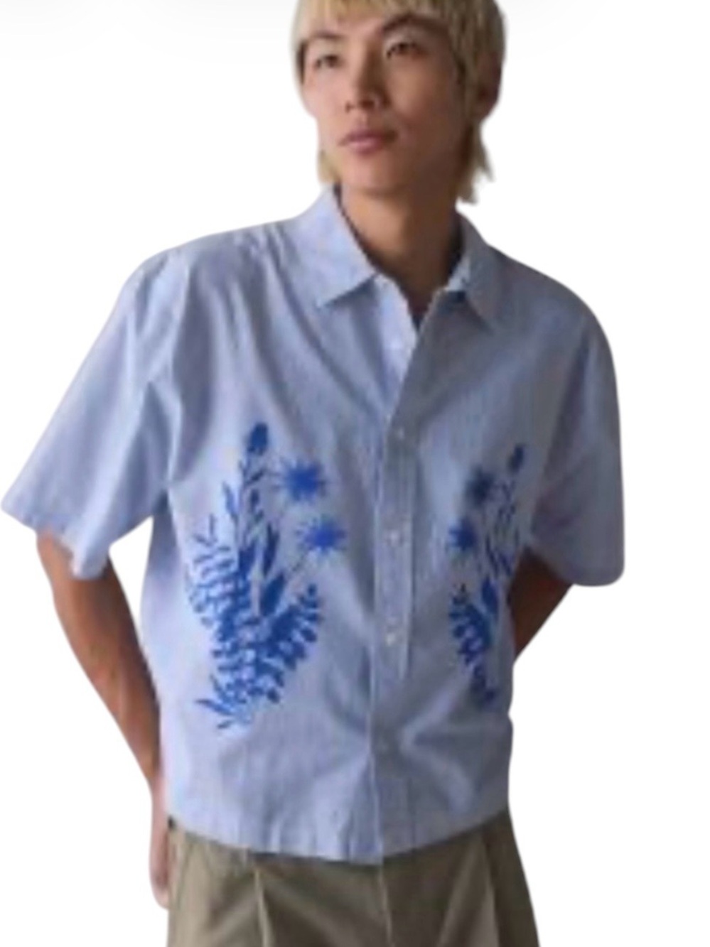 Urban Outfitters Men’s Shirt L Pinstripe Floral Graphic Beach Travel Resort